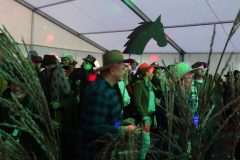 dsc09788