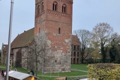 IMG_0310-scaled